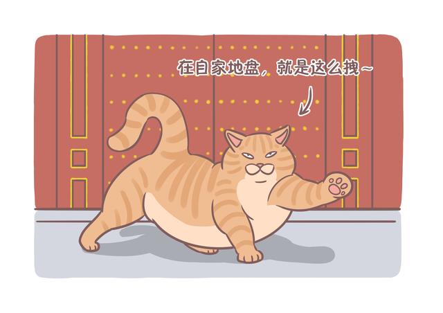 越吃越胖的它在古代有个威风的名字出了名的"好吃懒做"~一,橘猫还很有