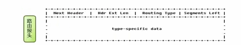 路由报头报文格式