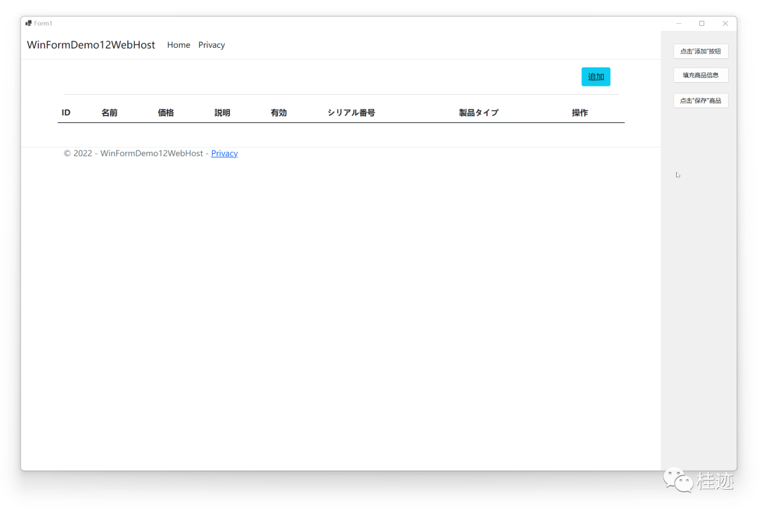 WinForm（十三）WebView2