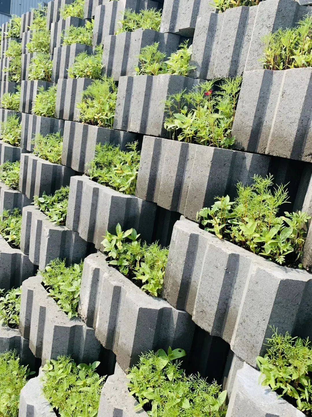 简述autocad在测绘工程中的应用工程应用生态护坡预制砌块在河道护岸