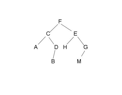 【码极客精讲】二叉树