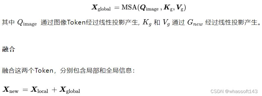 DualToken-ViT_目标检测_06