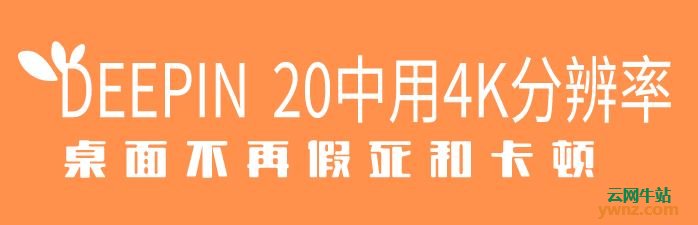 deep linux 看视频卡,在Deepin 20系统中用4K分辨率使桌面假死和卡顿的解决