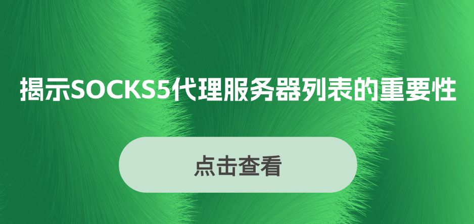 揭示SOCKS5代理服务器列表的重要性