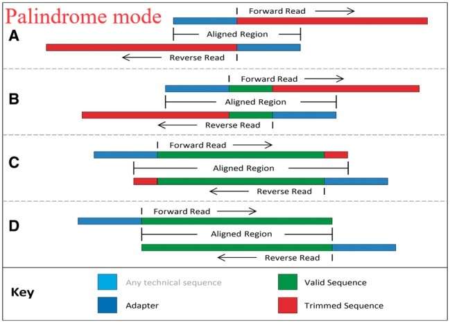 宏基因组流程质控trimmomatic