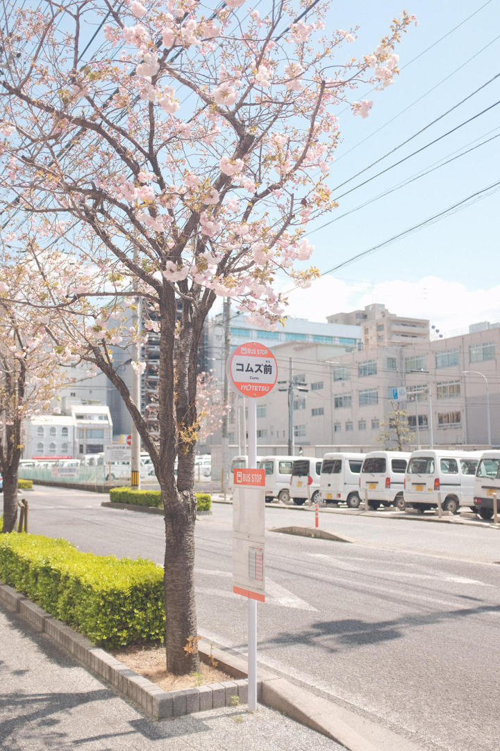 暗黑系图片图片素材治愈系日本松山市