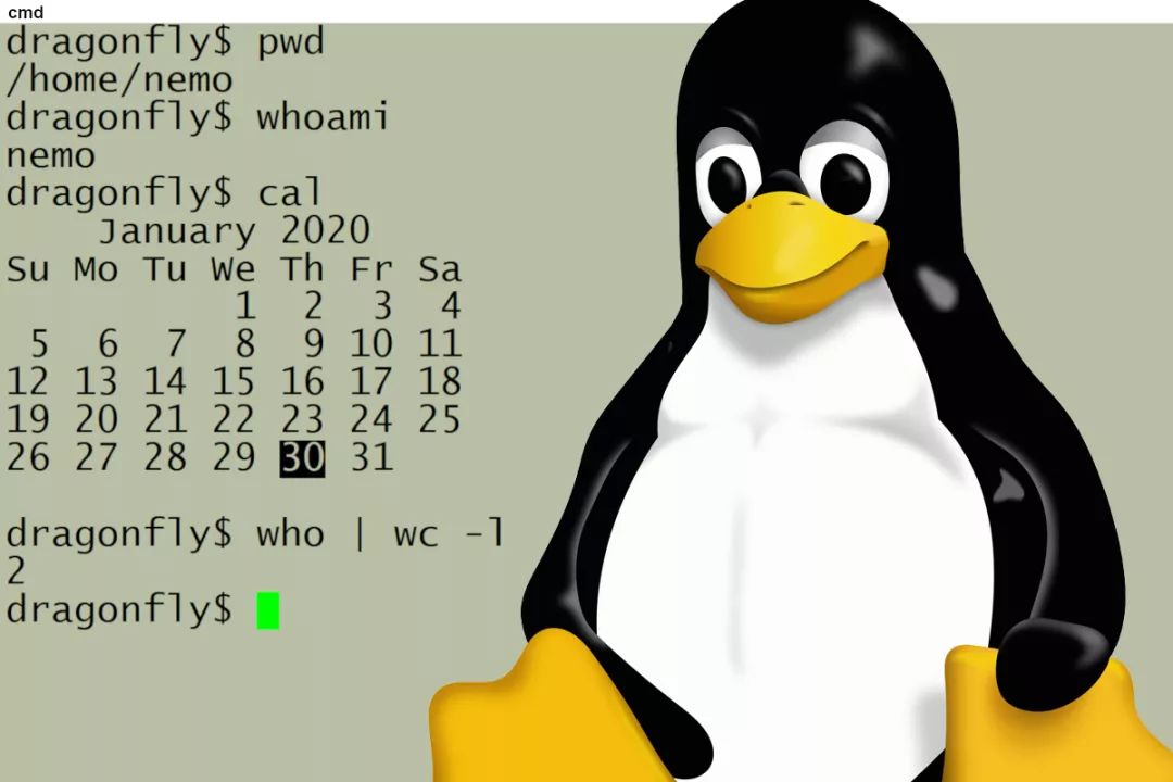 linux 命令行 时间 bashrc_Linux 命令行简介 | Linux 中国