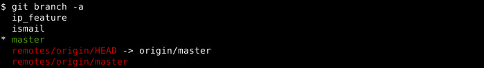 List All Branches (Local and Remote)