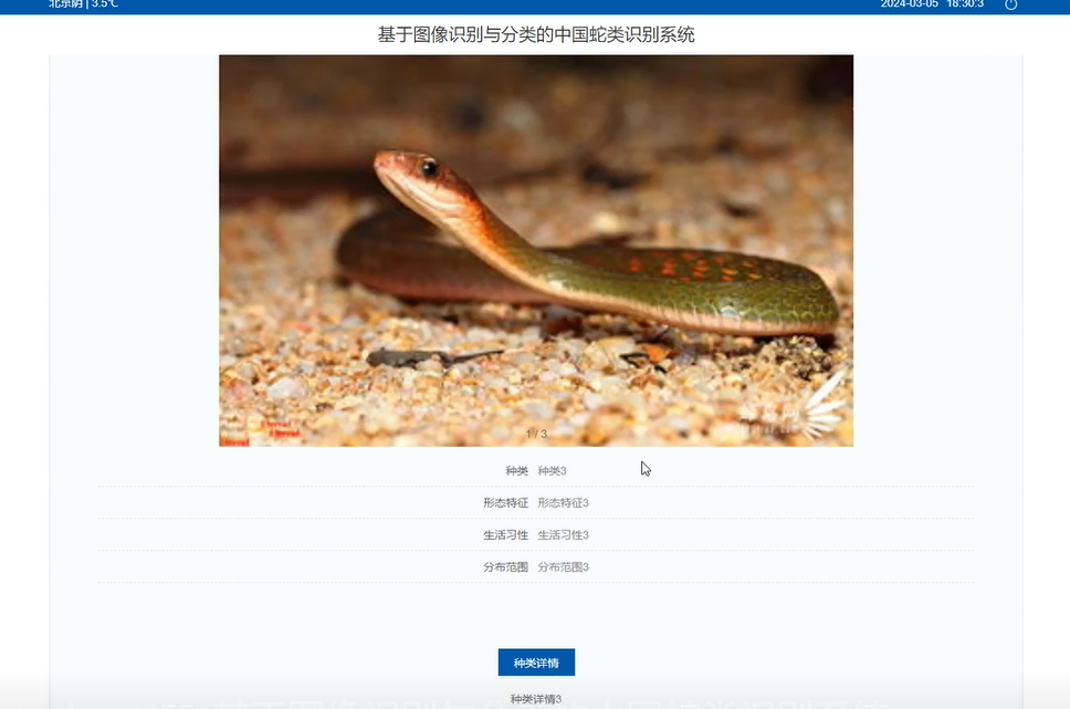 image-20241113100508533