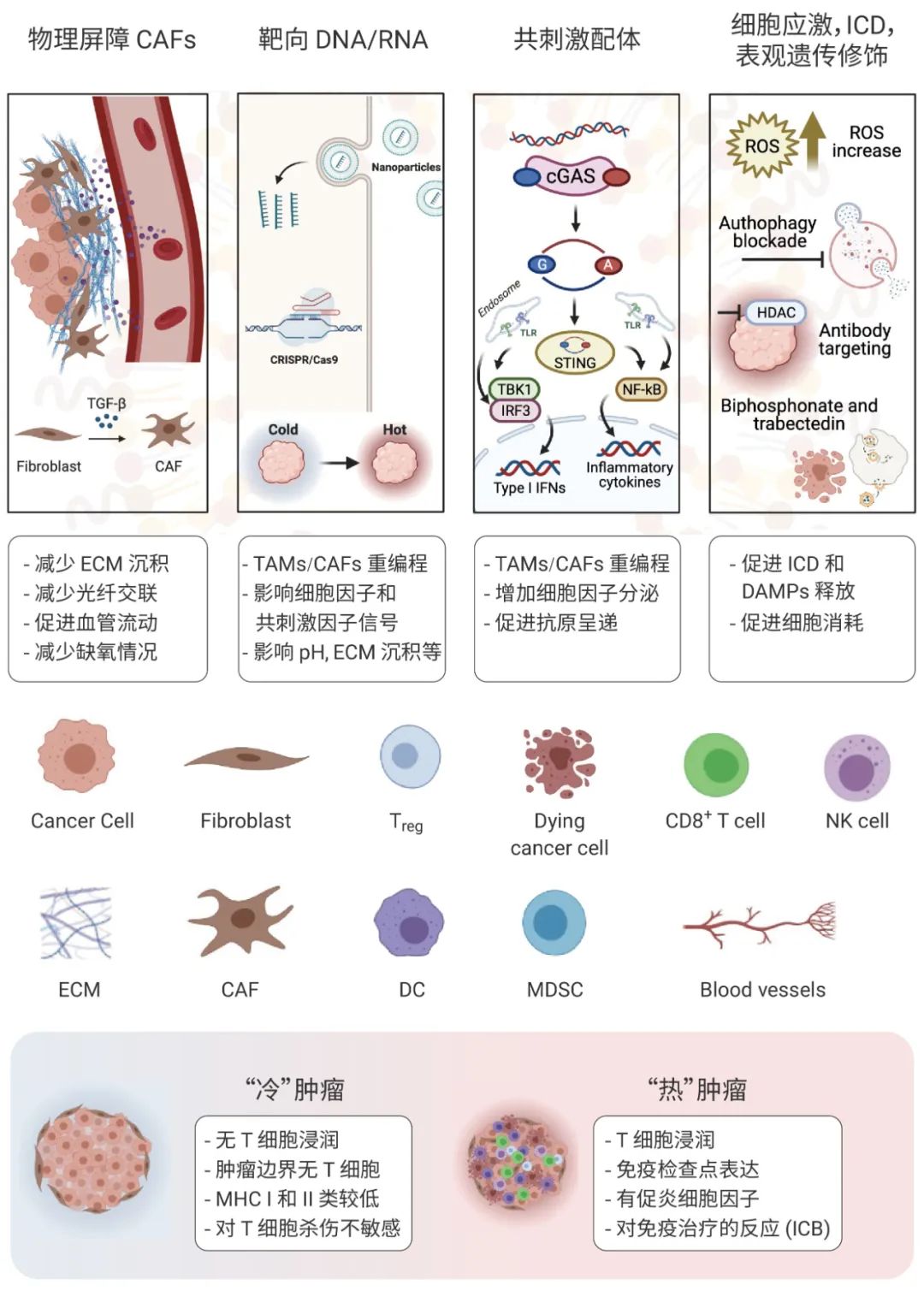 靶向肿瘤微环境 丨“冷”肿瘤如何变“热”- MedChemExpress