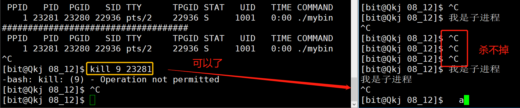 image-20220812085307093