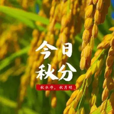 5c3e91ec3504caa55b83665d18f2bc7a.png