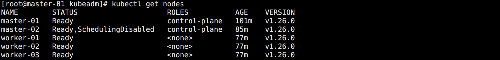 Kubernetes集群搭建 kubernetes集群安装_kubernetes_12