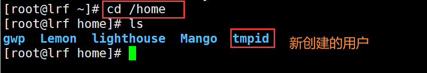 image-20220301200009147