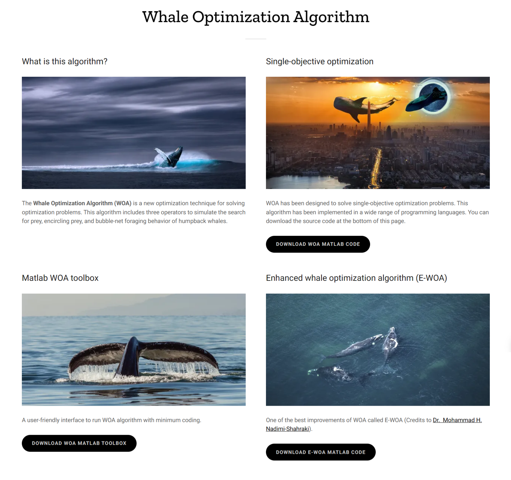 Mastering Pinterest'S #Fyu Algorithm - z67fxwa
