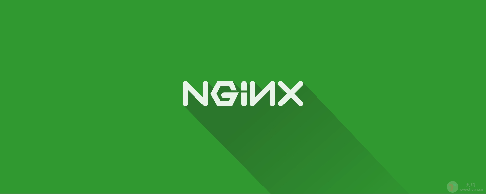 Nginx 206 (Partial Content)
