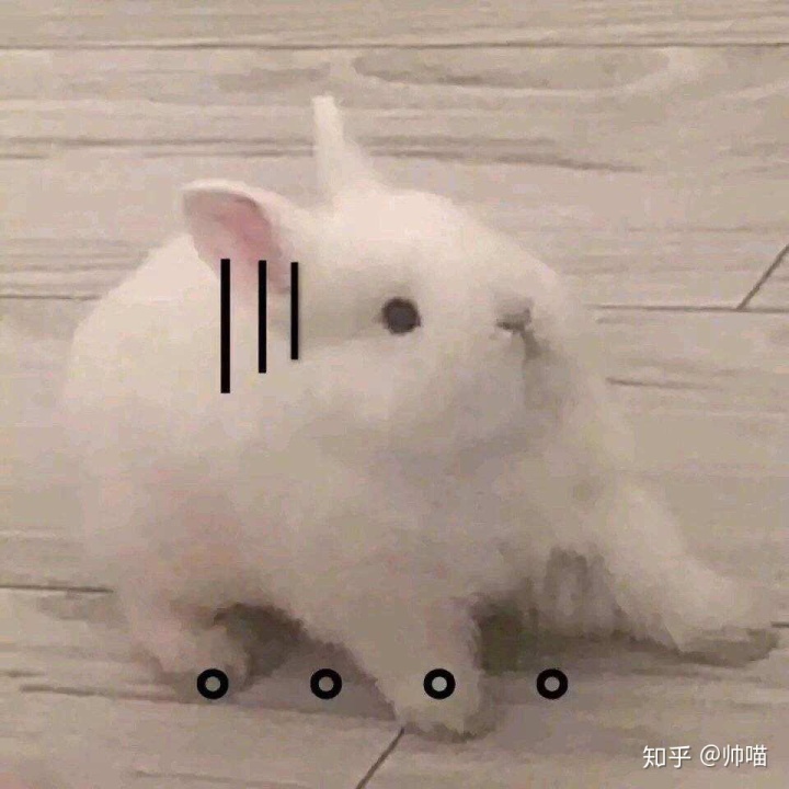5cf2021e21287457f7885981204ba64a.png