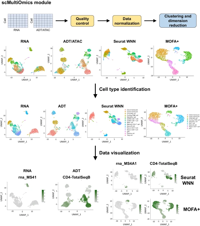 Fig. 6 ezSingleCell scMultiomics 模块