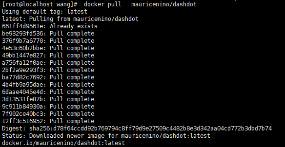 Linux<span style='color:red;'>使用</span><span style='color:red;'>Docker</span>部署DashDot<span style='color:red;'>访问</span><span style='color:red;'>本地</span><span style='color:red;'>服务器</span>面板