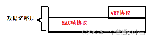 【Linux 网络编程5】网络/数据链路层--IP协议，MAC帧协议和ARP协议