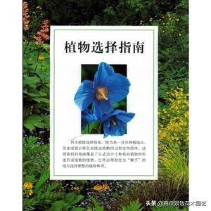 5d7cac1bfc0ffea40f5b39752e3237d1.png