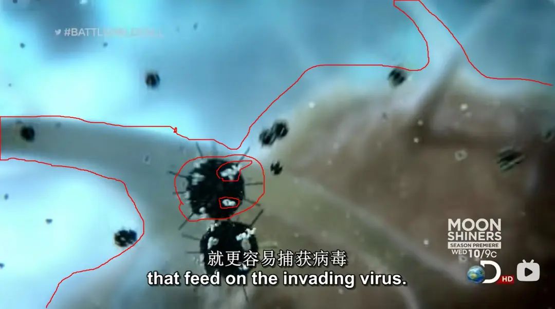 5d85283e8df74c45e884a9c826fe18c6.jpeg