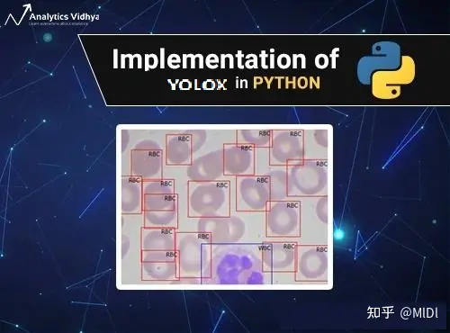 YOLOX算法实现血细胞检测