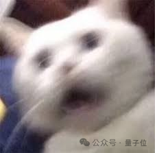 5ddc502276ee6850ce64d2bd19aa6281.png