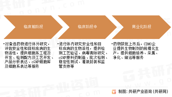 生物药CDMO服务内容