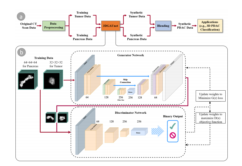 文献速递：生成对抗网络医学影像<span style='color:red;'>中</span><span style='color:red;'>的</span>应用——<span style='color:red;'>3</span>DGAUnet：一种带有基于<span style='color:red;'>3</span><span style='color:red;'>D</span> <span style='color:red;'>U</span>-Net<span style='color:red;'>的</span>生成器<span style='color:red;'>的</span><span style='color:red;'>3</span><span style='color:red;'>D</span>生成对抗网络