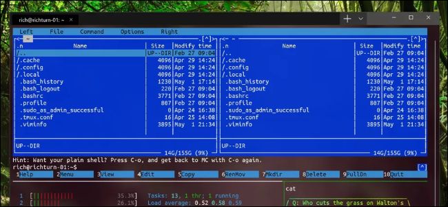 New Windows Terminal showing Linux applications