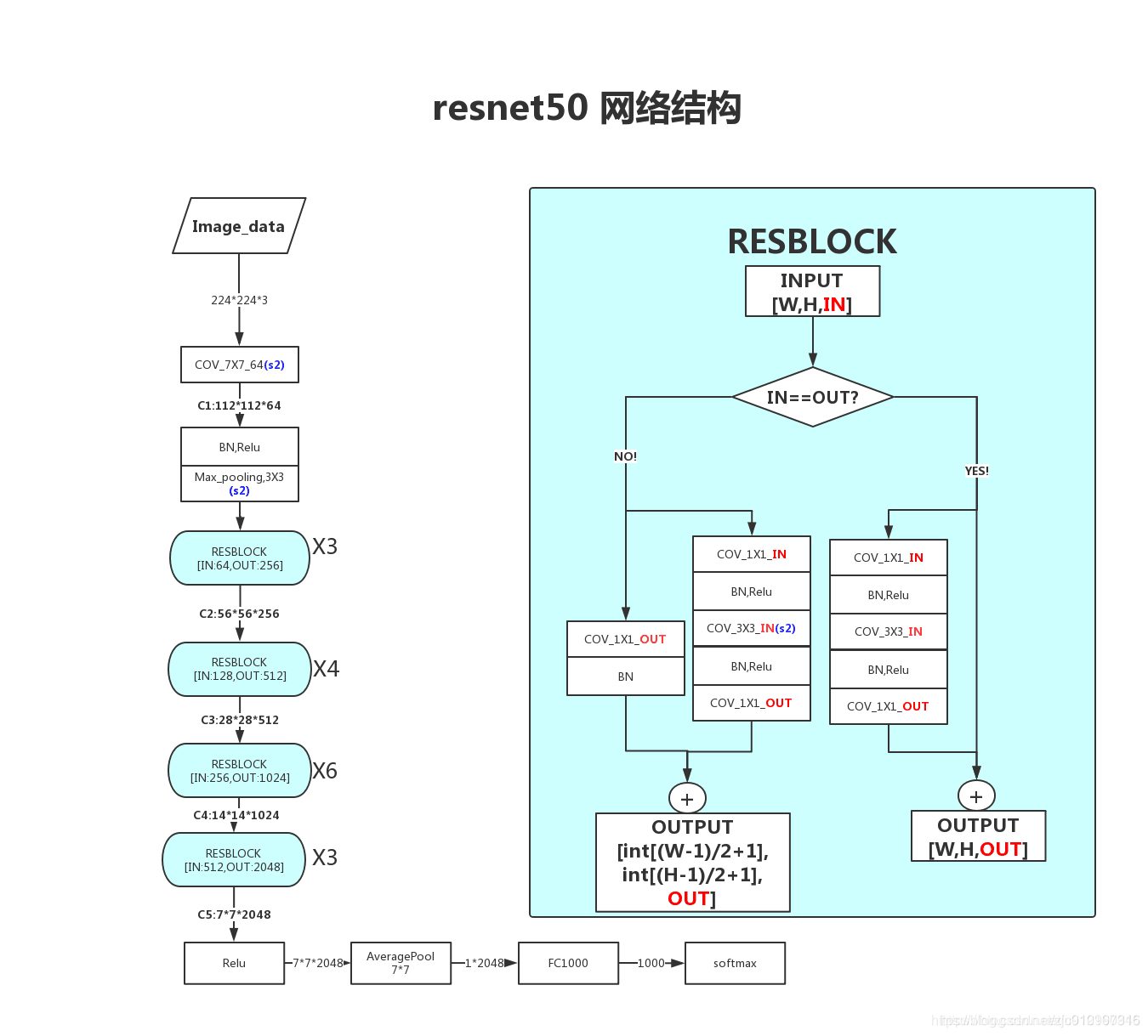 深度学习常用的backbone有哪些