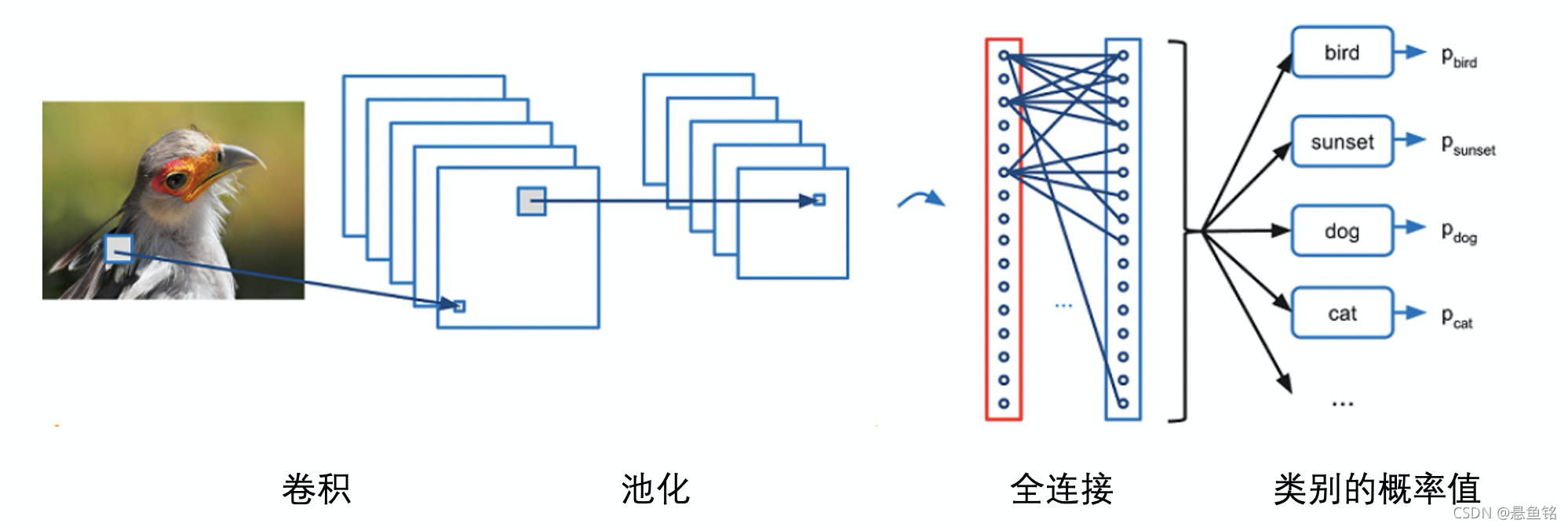 图像分类快速入门:原理与代码_图像分类原理-CSDN博客