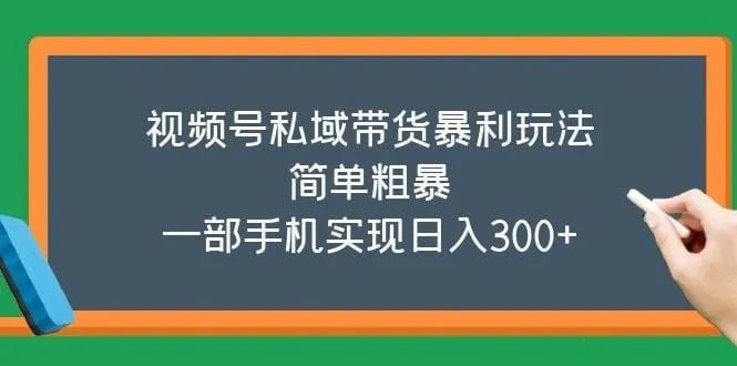 2023 视频号私域带货暴利玩法课程