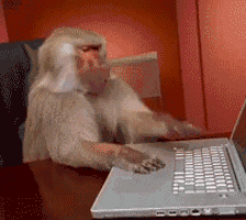 5e920321bb9c6f3c74fae3fc581178fe.gif