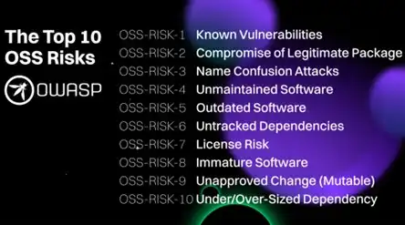 OWASP TOP10 OSS 风险：开源软件安全指南