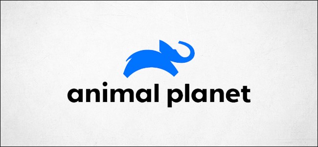 Animal Planet Logo