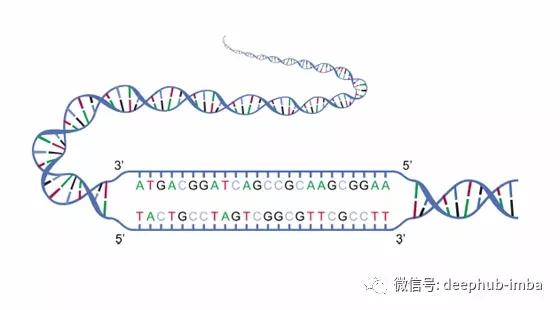 使用python处理dna序列数据