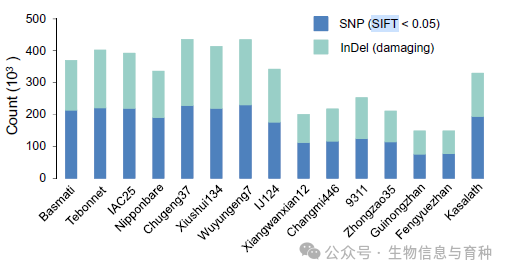 VIPdb，有害突变预测以及植物育种_ci_05