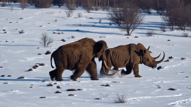 5f30aa973f42af2e8b50a82a1394e6cf.gif