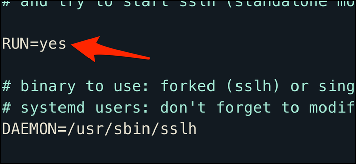 A "RUN=yes" command in a terminal window.