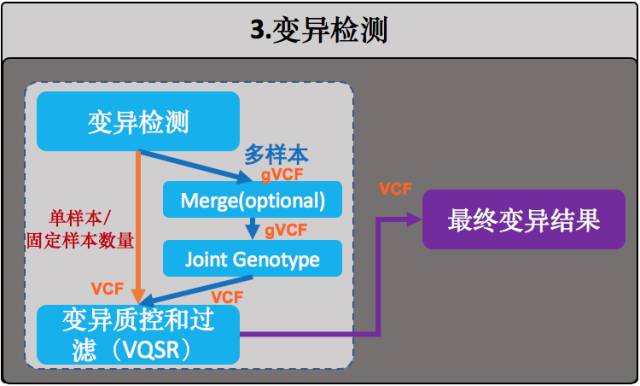 变异检测流程图