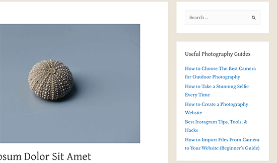 Featured posts in WordPress sidebar text widget Featured posts in WordPress sidebar text widget