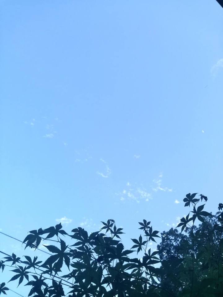 测试自学人必看:软件测试如何找测试项目?