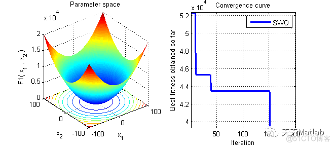 基于蜘蛛黄蜂优化器 (SWO)求解单目标优化问题附matlab代码_图像处理_02