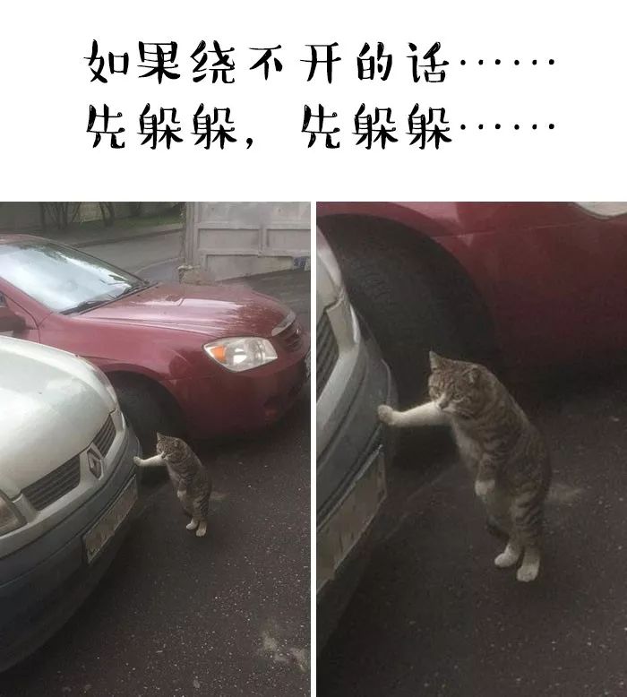 640