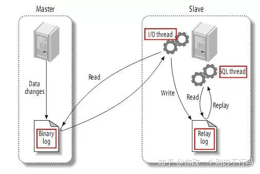 使用laradock配置mysql主从同步