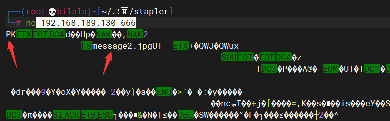 image-20220307152824345