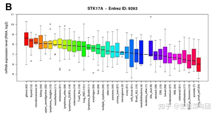 单基因gsea_10个细胞系仅1个表达你的基因