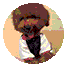 609553a4339f6f09914c5f5841314669.gif